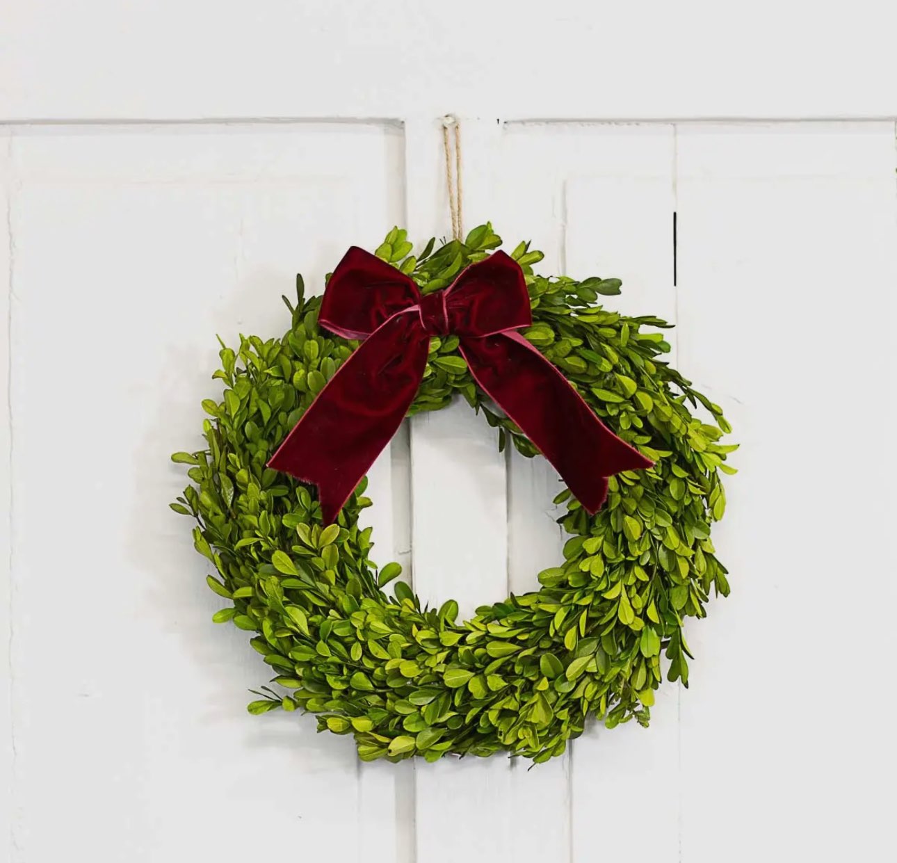 Boxwood Wreath 13"