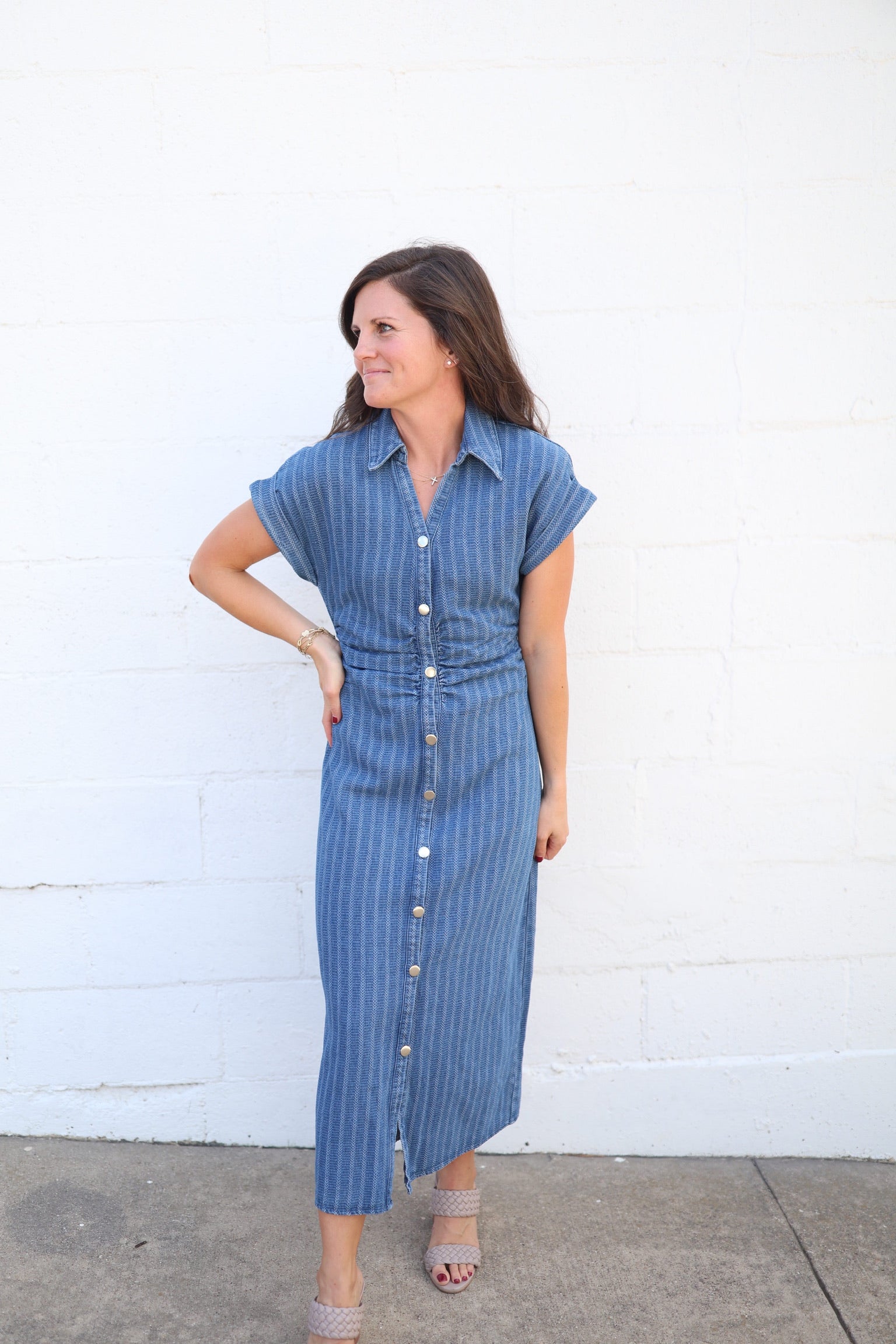 Stripe Denim Fitted Dress