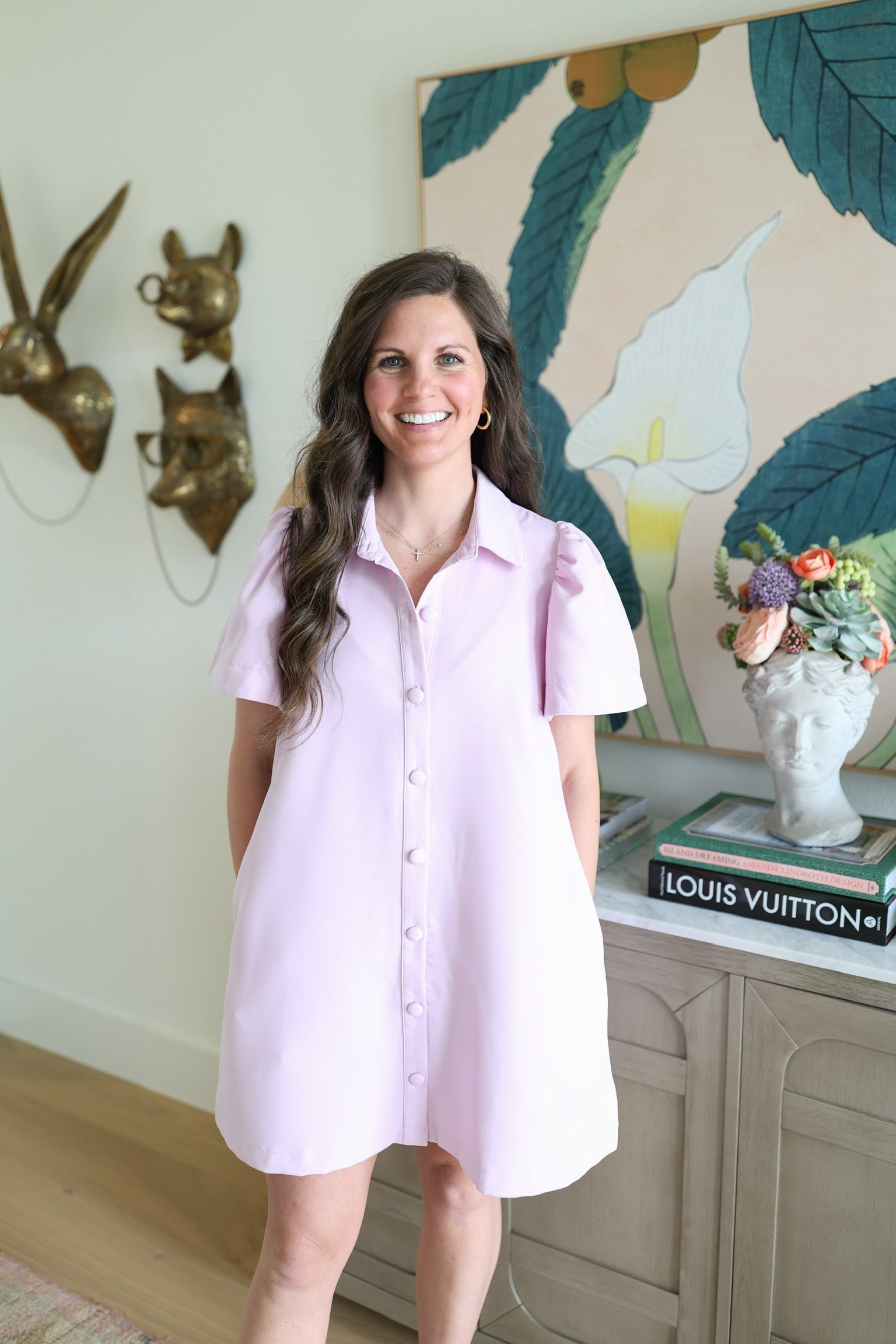 Cesily Collar Button Down Mini Dress