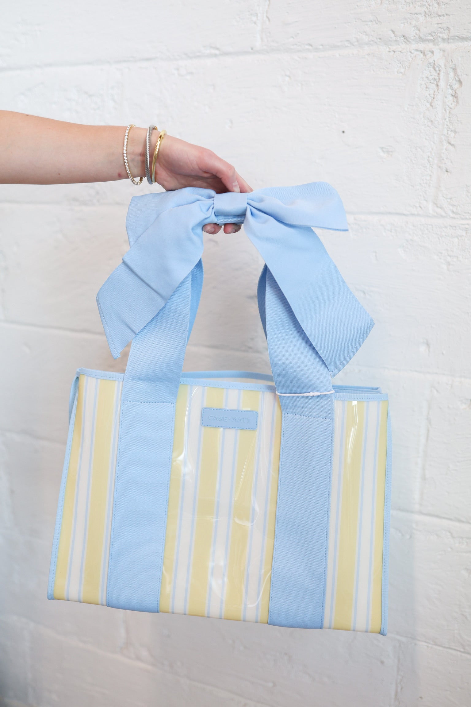 Cabana Stripe Bow Jelly Tote Bag