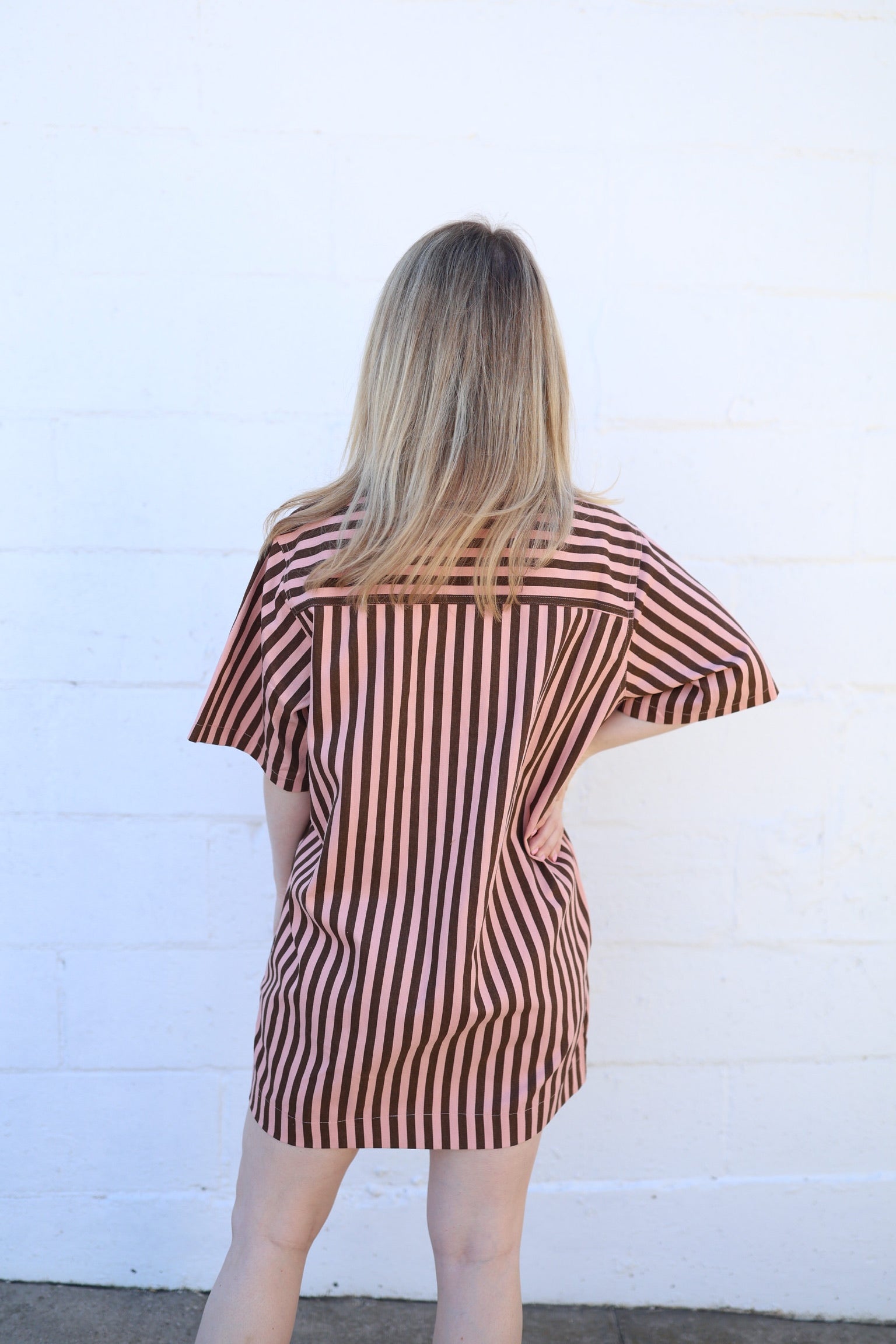 Smith Stripe Denim Dress