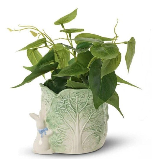Easter Cabbage Cachepot