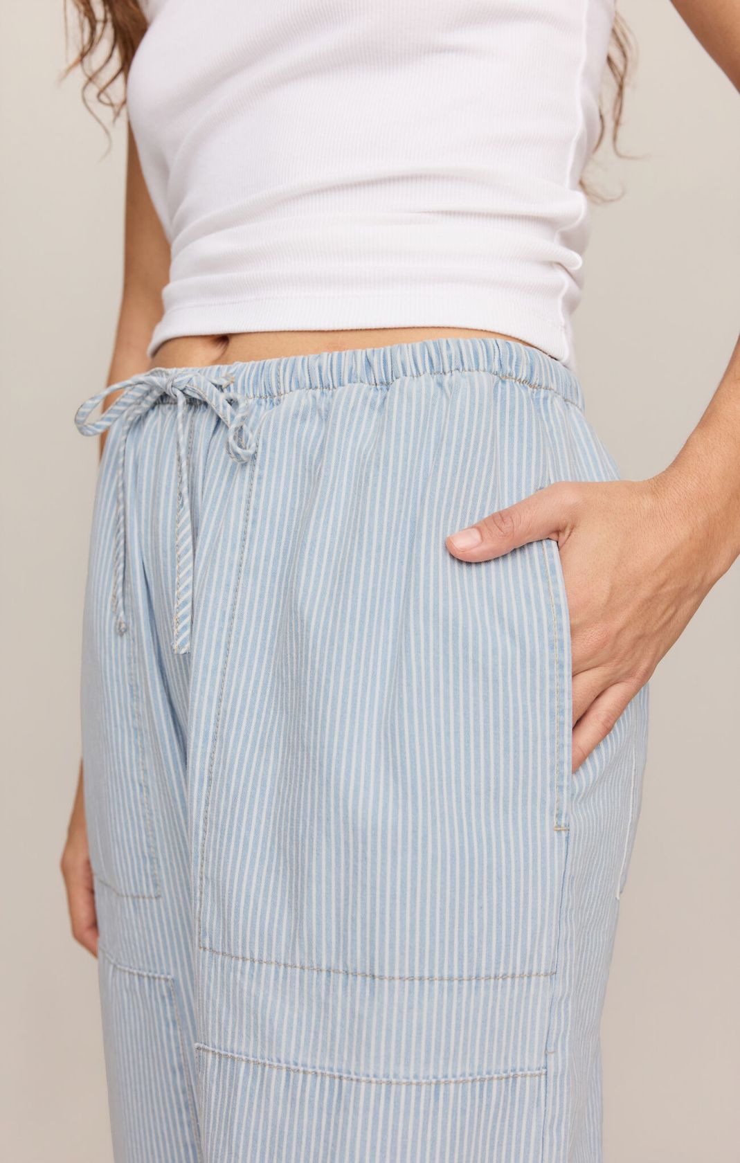 Seaboard Stripe Carpenter Pant