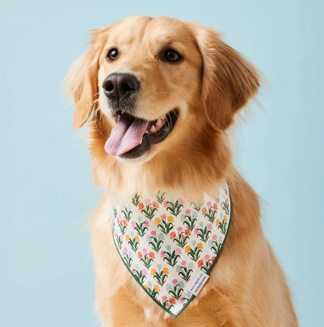 Tulips Spring Dog Bandana