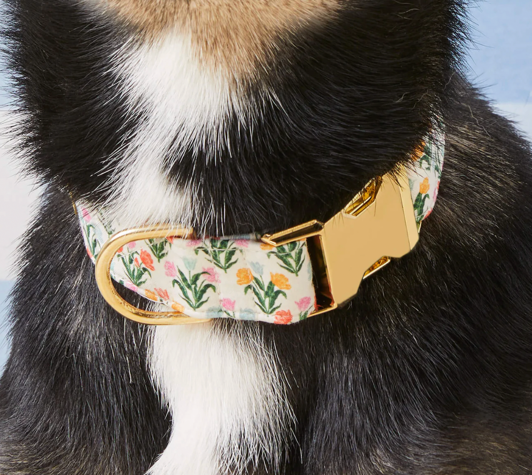 Tulips Spring Dog Collar