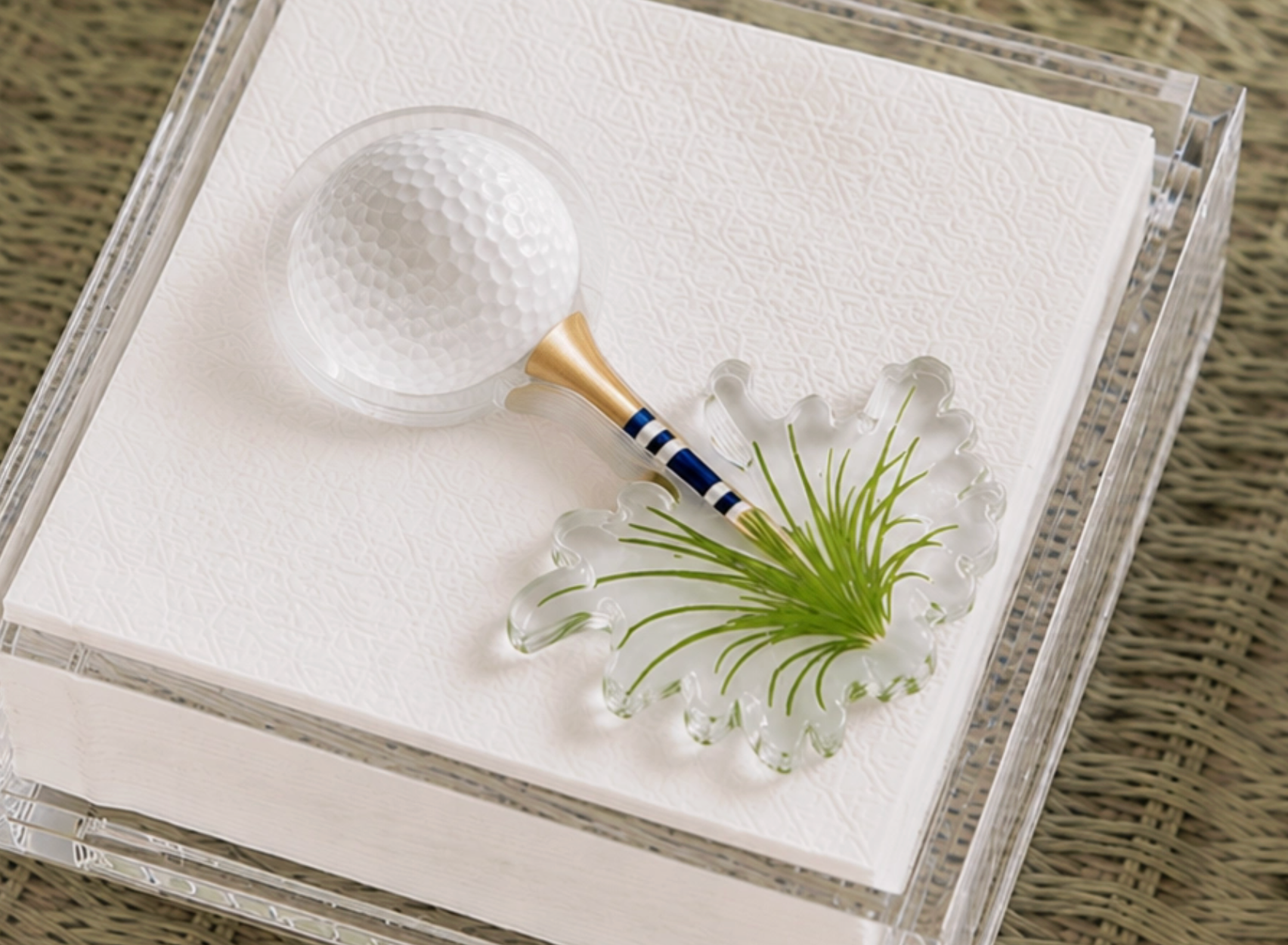 Acrylic Napkin Weight