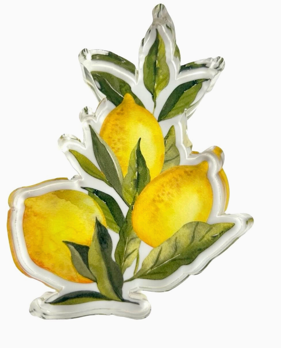 Acrylic Napkin Weight