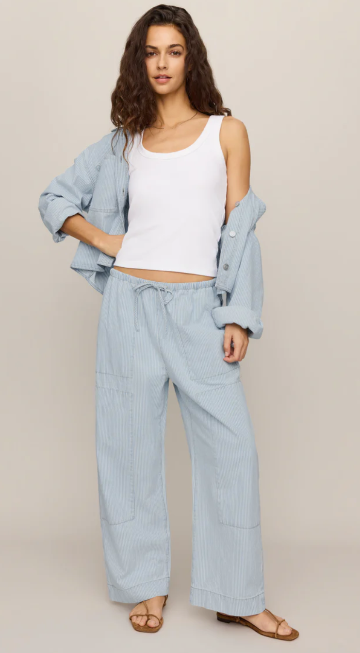 Seaboard Stripe Carpenter Pant