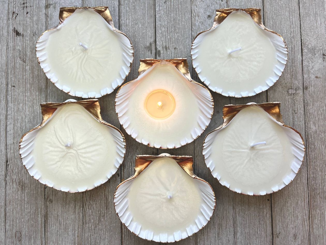 Seashell Candle